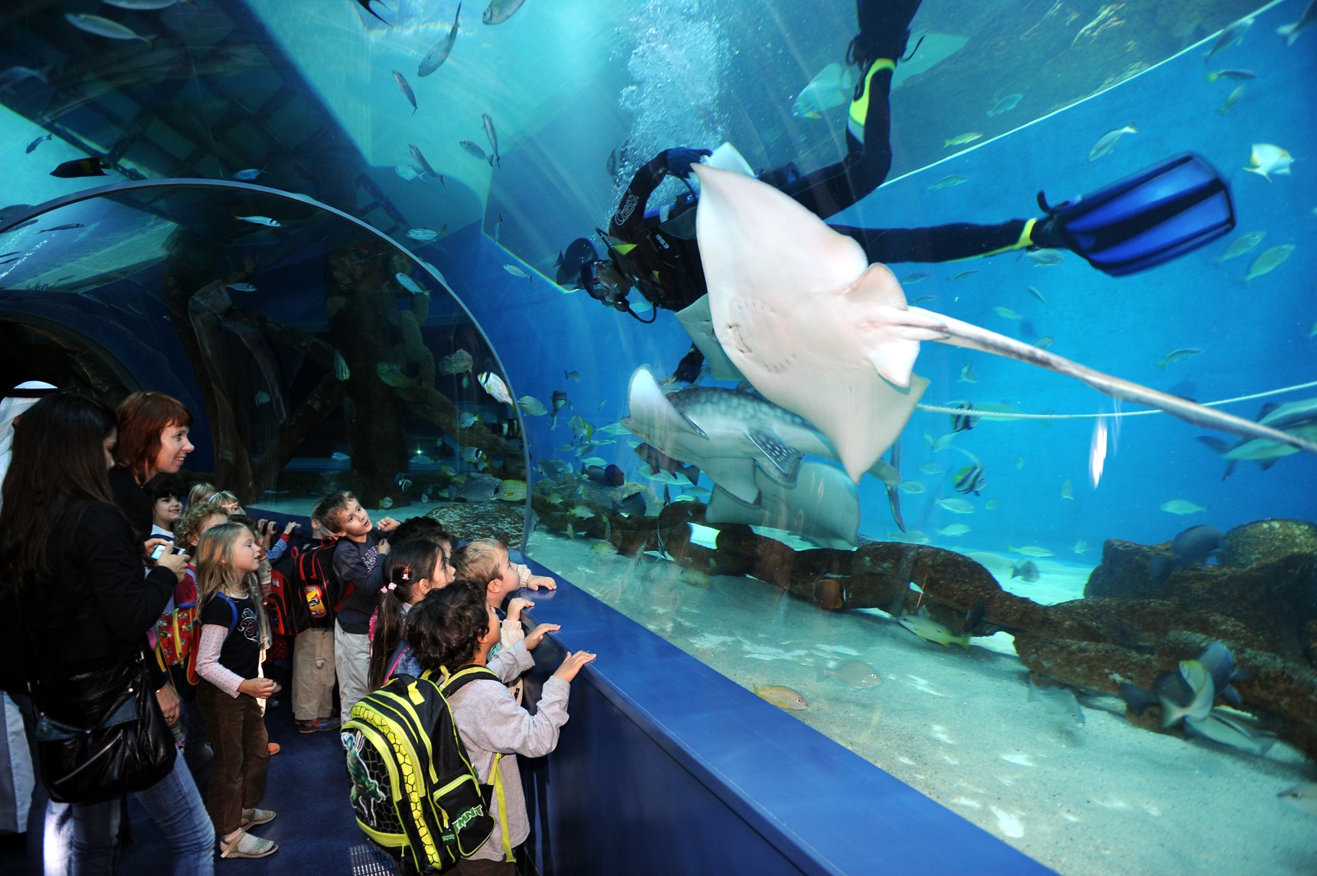 sharjah-aquarium-1