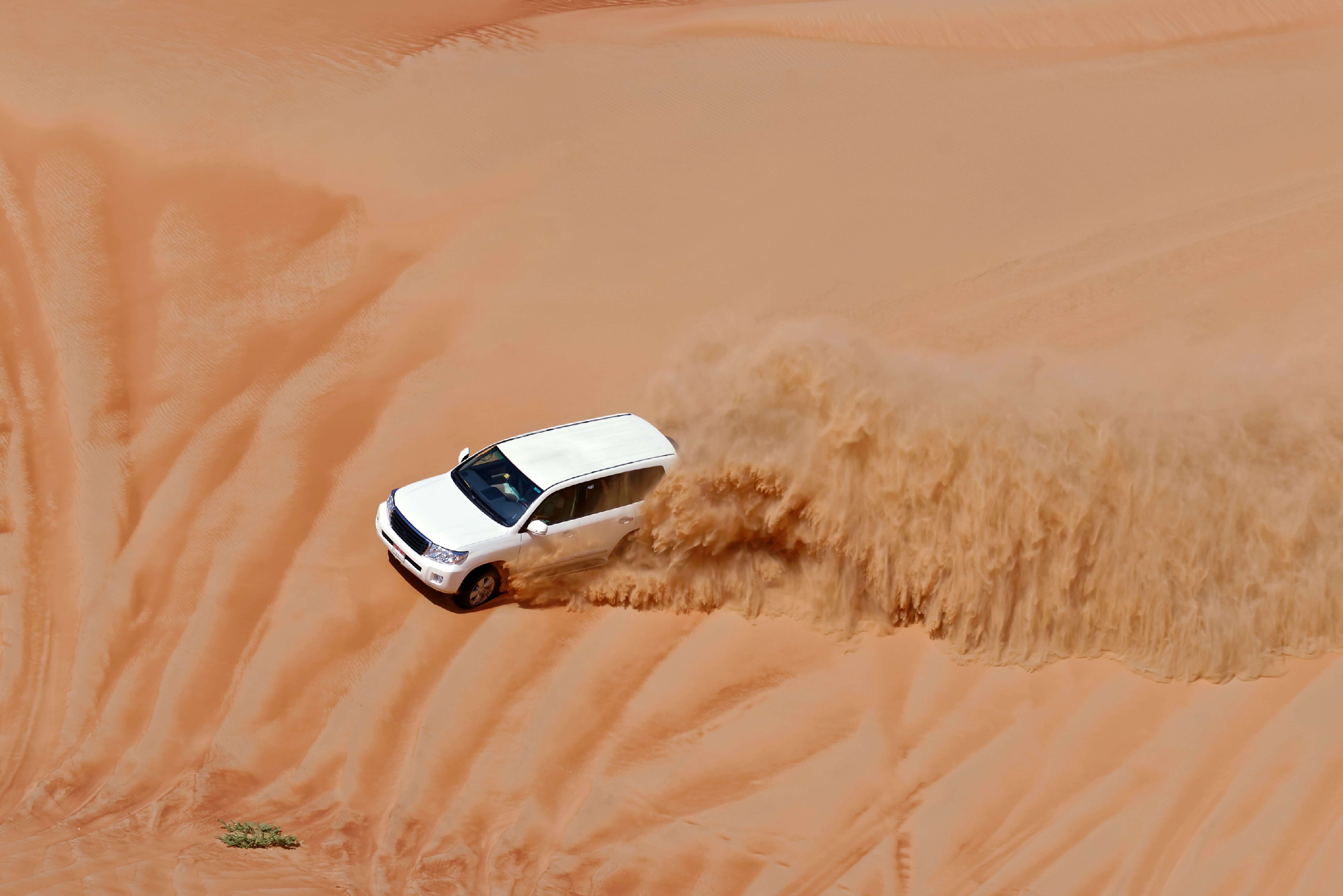 Dubai Desert Safari
