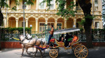 round-trip-ticket-princes-island-ferry-and-audio-guide-7383