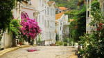 round-trip-ticket-princes-island-ferry-and-audio-guide-8159