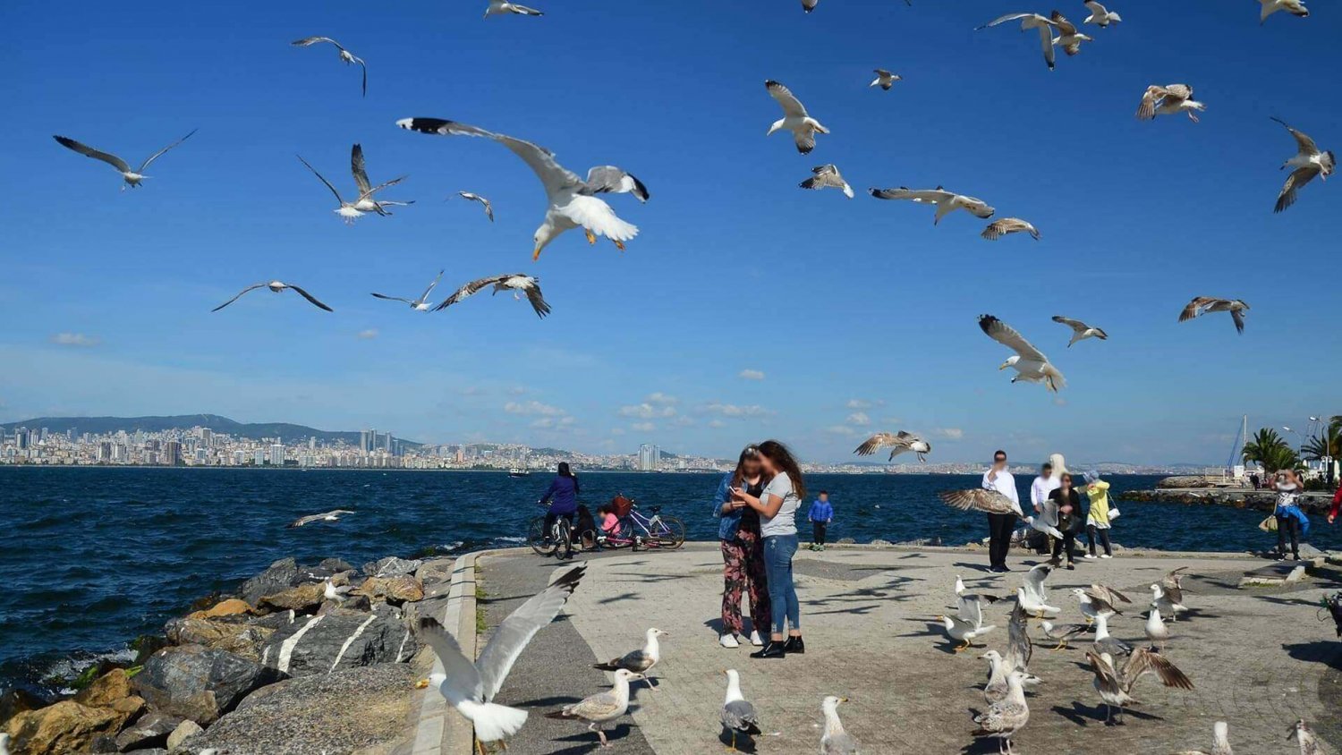 round-trip-ticket-princes-island-ferry-and-audio-guide-8480