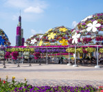 miracle-garden-2