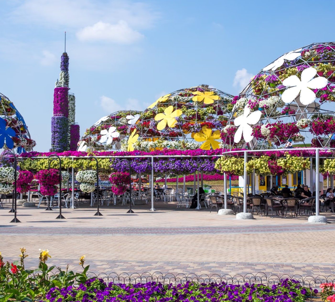 miracle-garden-2