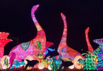 glow-garden-ticket-6