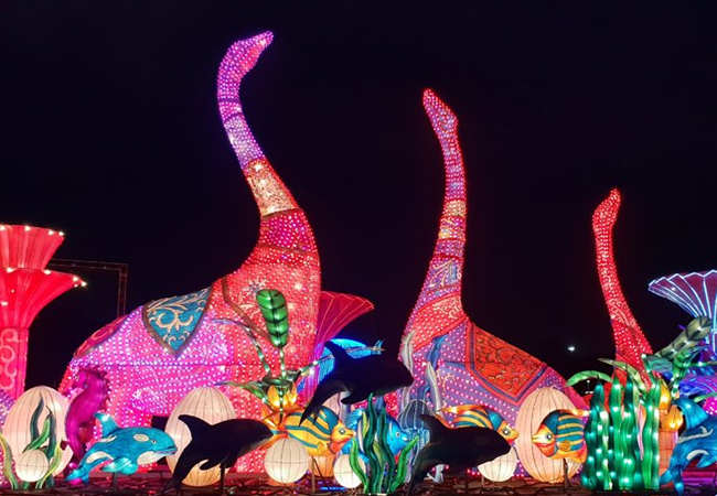 glow-garden-ticket-6