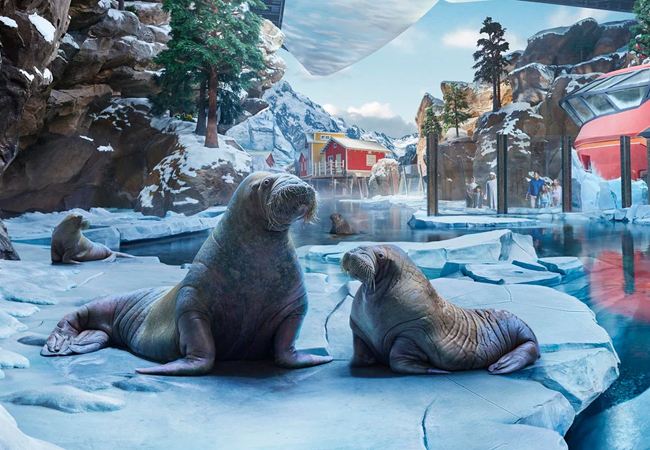 sea-world-ticket-1