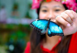 butterfly-garden-activity-02