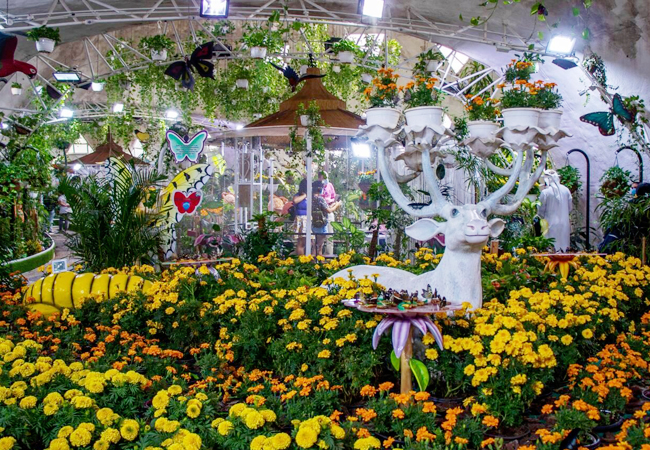 butterfly-garden-activity-03