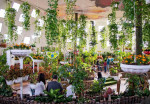 butterfly-garden-activity-04