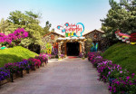 butterfly-garden-activity-05