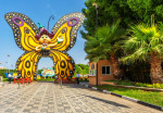 butterfly-garden-activity-07
