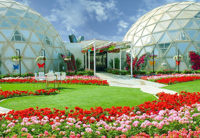 butterfly-garden-activity-09
