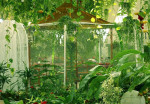 butterfly-garden-activity-10