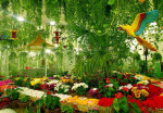 butterfly-garden-activity-11