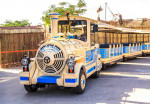 dubai-safari-activity-02