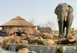 dubai-safari-activity-04