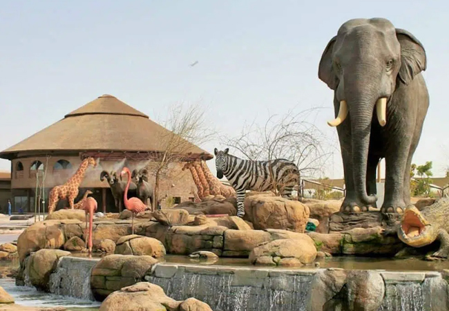 dubai-safari-activity-04