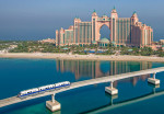 palm-monorail-activity-03