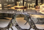 dubai-crocodile-activity-03