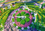 miracle-garden-activity-013