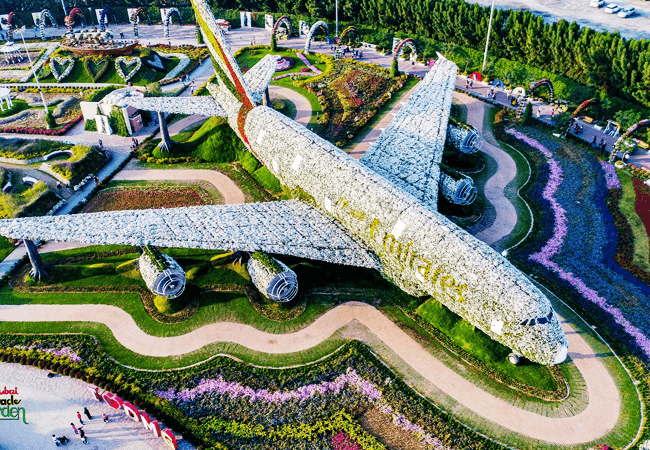 miracle-garden-activity-022