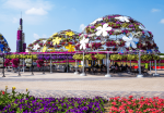 miracle-garden-activity-033