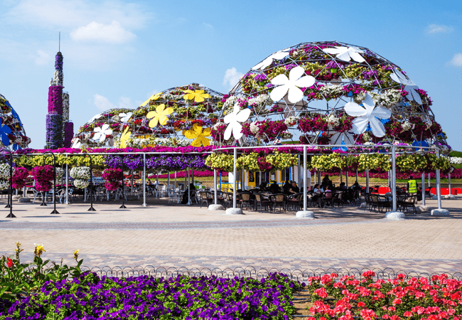 miracle-garden-activity-033