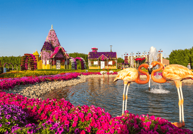 miracle-garden-activity-062
