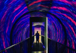 museum-of-illusion-activity-05