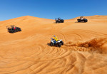 buggy-activity-05