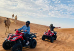 quad-bike-activity-03