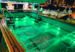 lotus-mega-yacht-activity-04