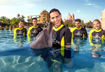 atlantis-dolphin-activity-02