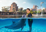 atlantis-dolphin-activity-03