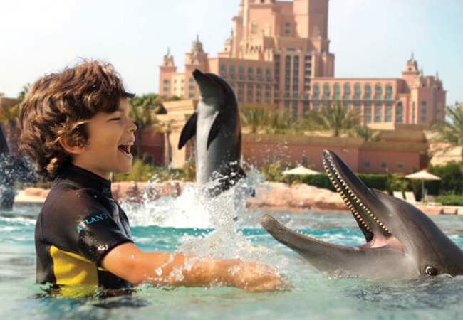 atlantis-dolphin-activity-06