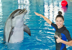 dubai-dolphnarium-activity-02