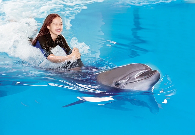 dubai-dolphnarium-activity-03