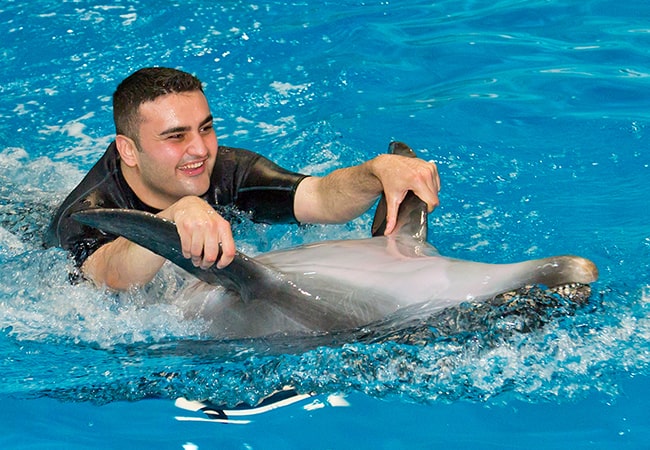 dubai-dolphnarium-activity-07-min