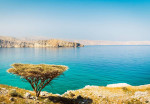 dibba-activity-04