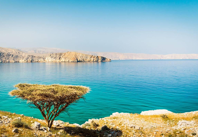 dibba-activity-04