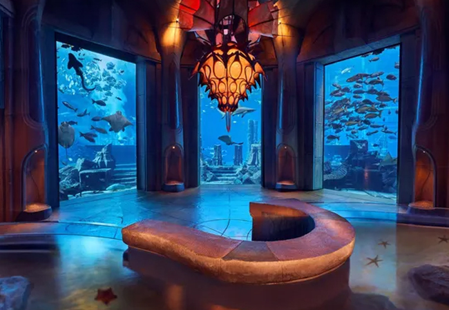 atlantis-aquaventure-and-lost-chamber-activity-04