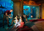 atlantis-aquaventure-and-lost-chamber-activity-07