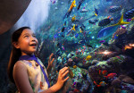 atlantis-aquaventure-and-lost-chamber-activity-12
